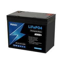 25.6V 1280Wh LifePO4 battery pack 